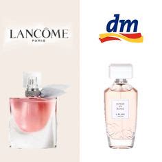 parfum dupes dm damen